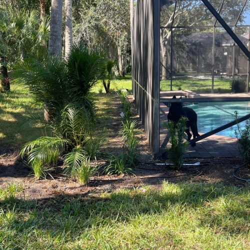 59ea2f10-a51c-497c-9576-6c622aa27389