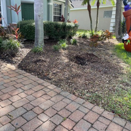 WhatsApp Image 2024-07-25 at 4.48.49 PM