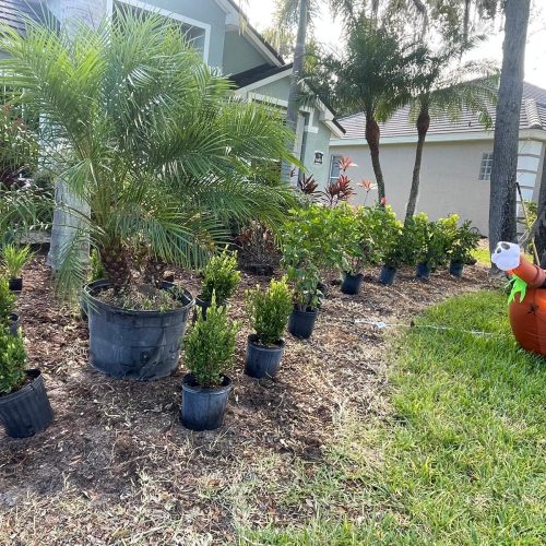 WhatsApp Image 2024-07-25 at 4.48.50 PM (1)