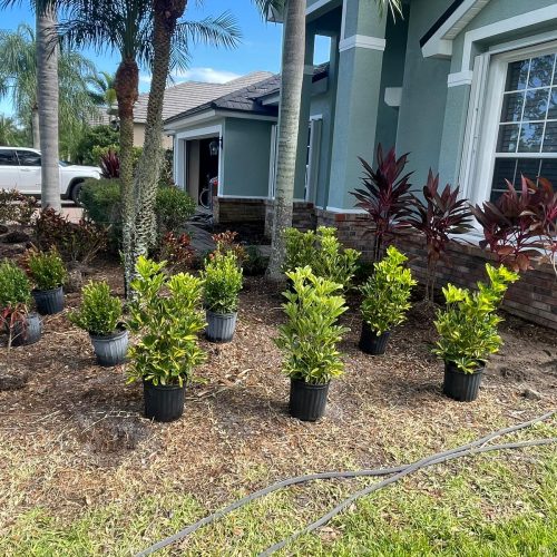 WhatsApp Image 2024-07-25 at 4.48.50 PM (2)