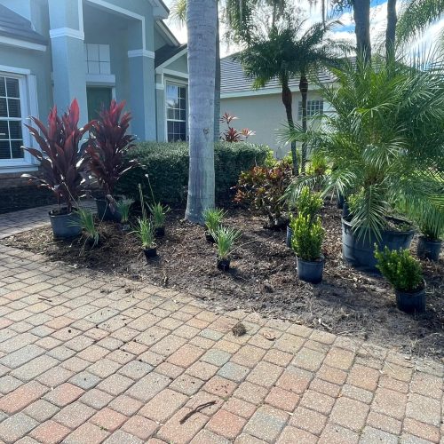 WhatsApp Image 2024-07-25 at 4.48.50 PM